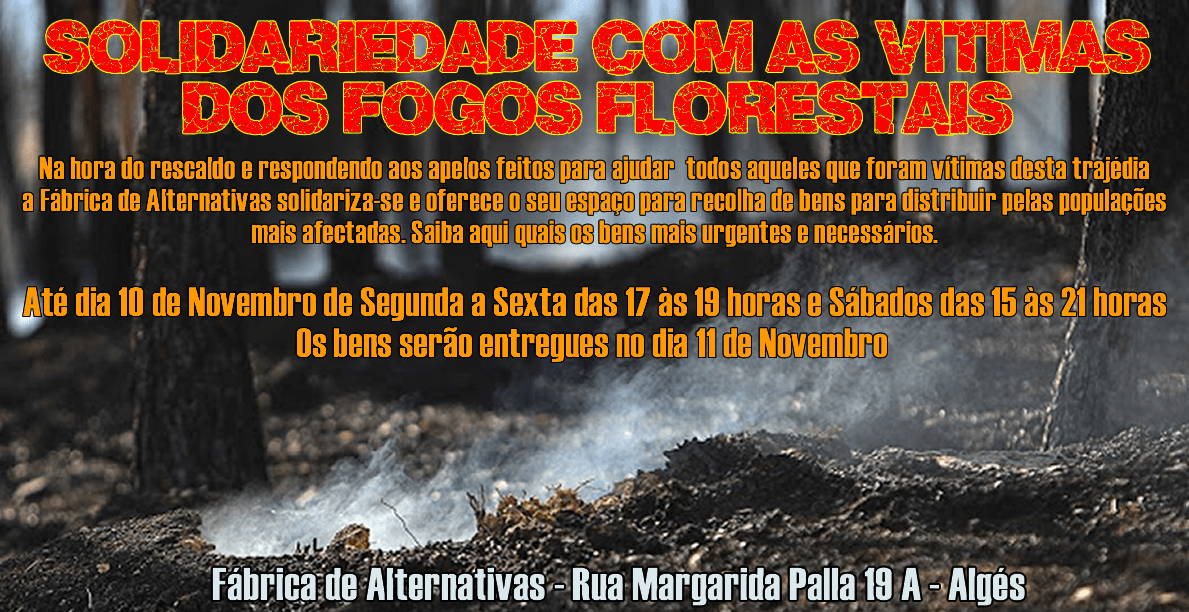 Ajuda às vítimas dos Incendios