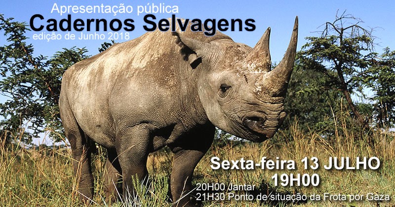 Apresentação Cadernos Selvagens