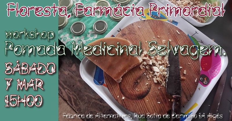 Floresta, Farmácia Primordial - Workshop de pomada medicinal selvagem. 