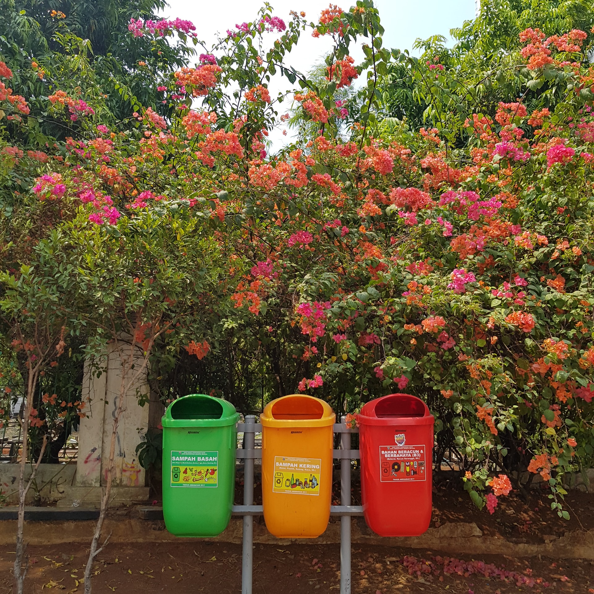 Acção de sensibilização para a prática da reciclagem