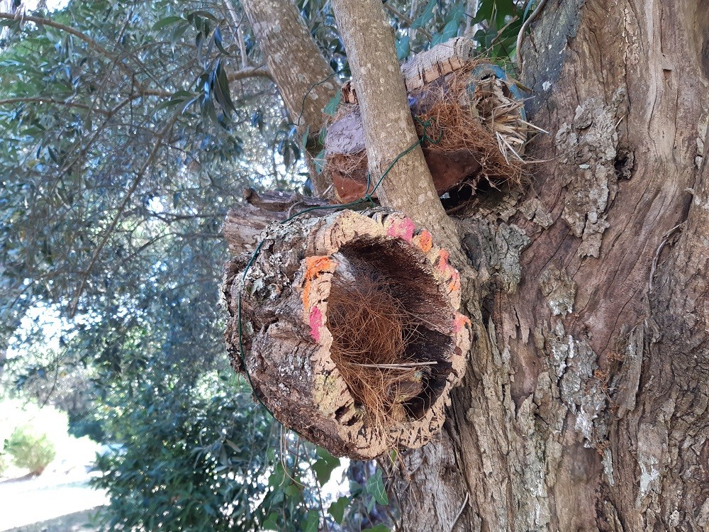 Construção de Comedouros para Aves e Hoteis para Insectos-Oficina