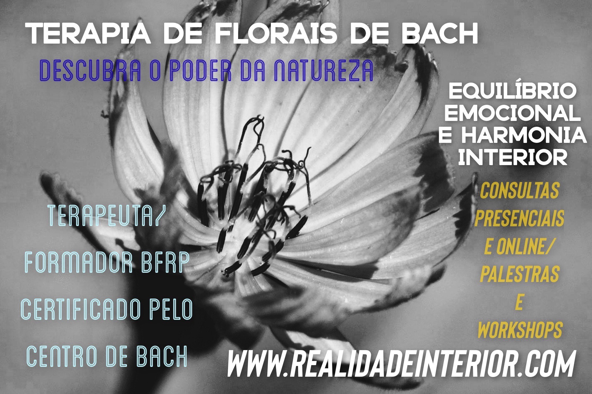 Terapia com Florais de Bach