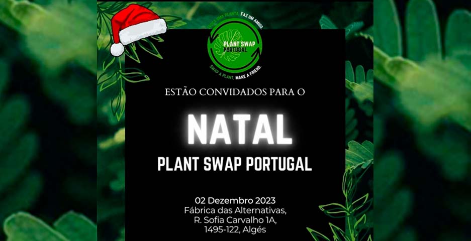 Plant Swap Portugal edição de Natal 