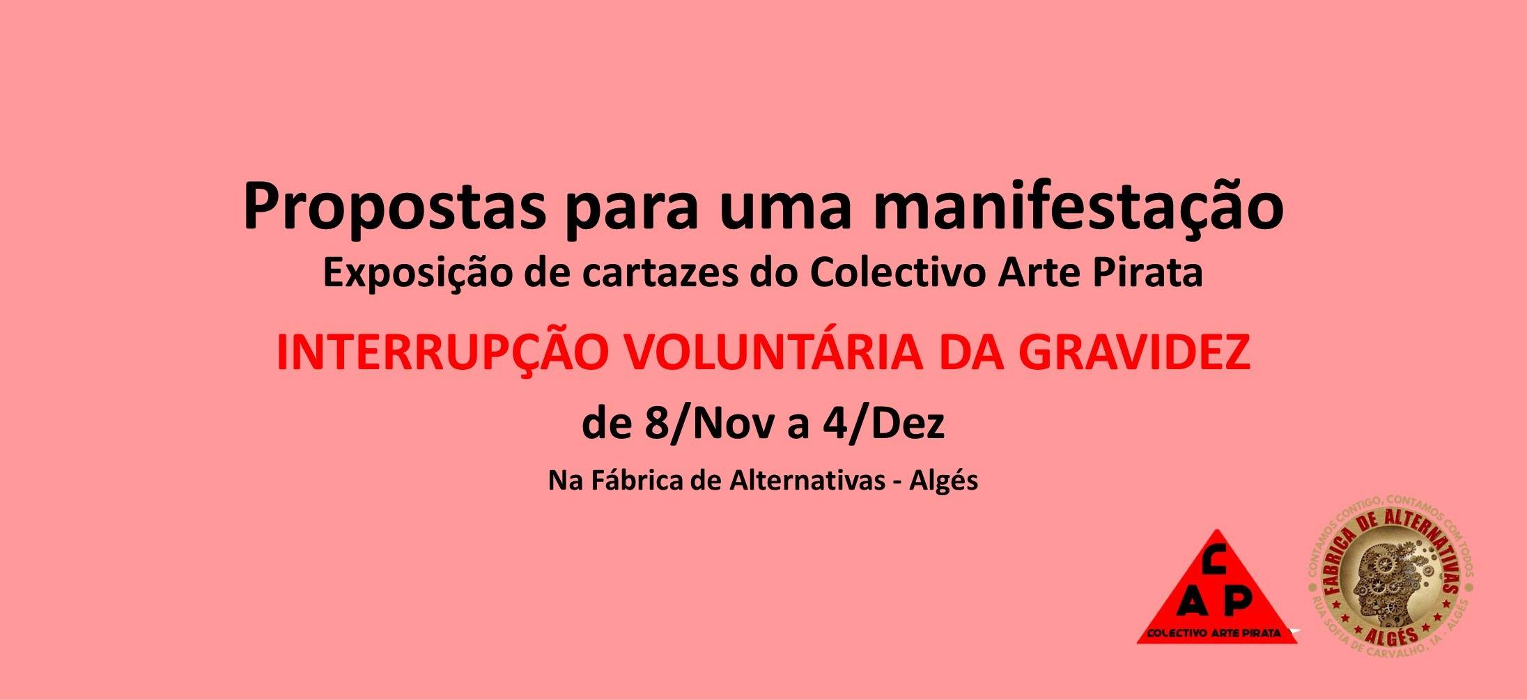 Propostas para uma manifestação-Interrupção Voluntária da Gravidez